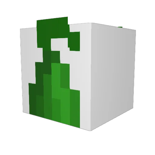 pickleinsoup Minecraft avatar head, 3D render