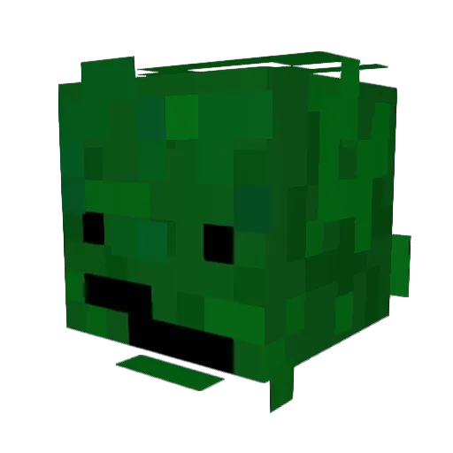 picklenickel2 Minecraft avatar head, 3D render