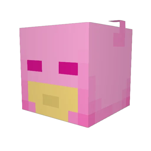 pickles1752 Minecraft avatar head, 3D render
