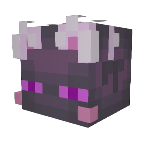 pickles189 Minecraft avatar head, 3D render