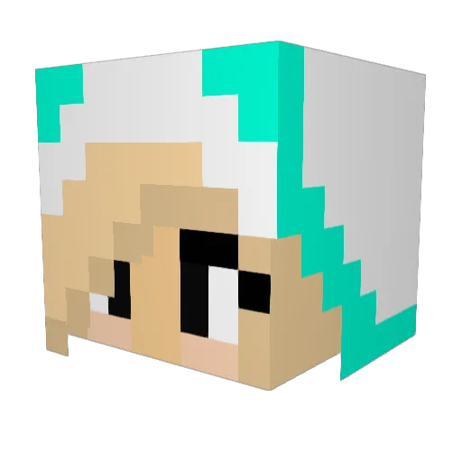 picklespancakes Minecraft avatar head, 3D render