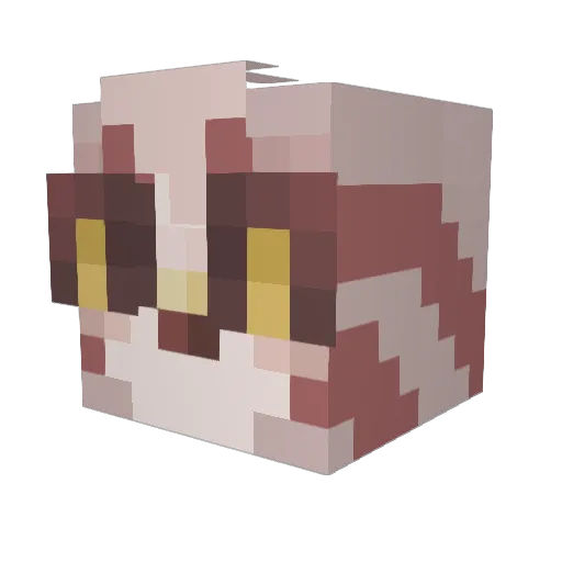 pickletriff Minecraft avatar head, 3D render