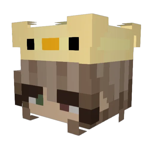 picklina2003 Minecraft avatar head, 3D render