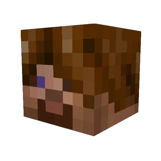 pickpocket3 Minecraft avatar head, 3D render