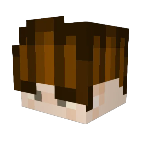 pickthatcotten Minecraft avatar head, 3D render