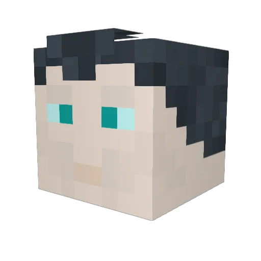 pickysalamander Minecraft avatar head, 3D render
