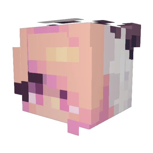 picnic1999 Minecraft avatar head, 3D render