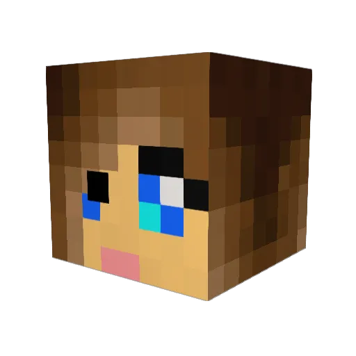 pid00 Minecraft avatar head, 3D render