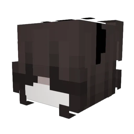 pid4r4s Minecraft avatar head, 3D render