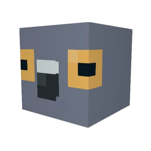 pidge_player Minecraft avatar head, 3D render