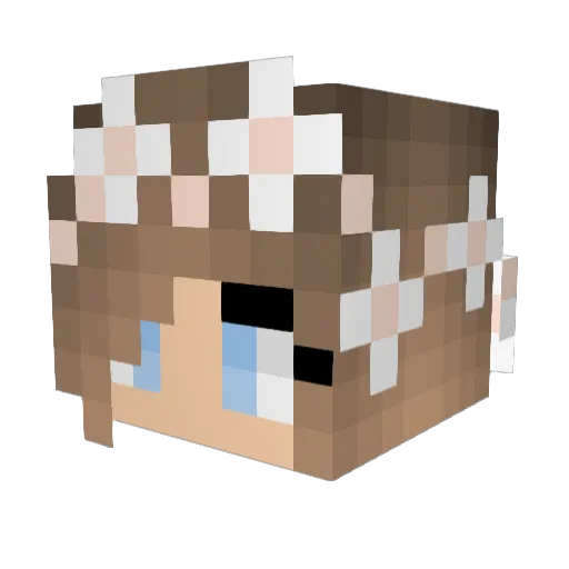 pidgeon_master Minecraft avatar head, 3D render