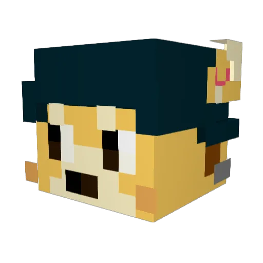 pidgrin Minecraft avatar head, 3D render