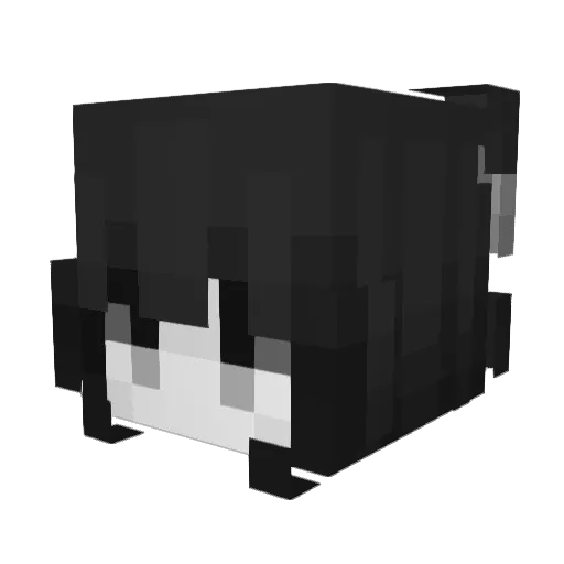 pidorasinaebanay Minecraft avatar head, 3D render
