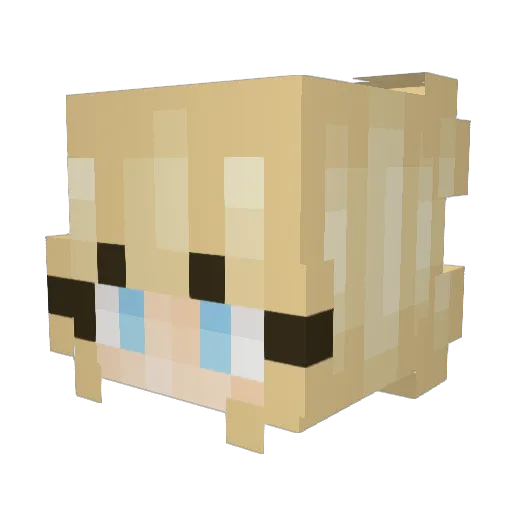 pie6294 Minecraft avatar head, 3D render