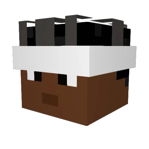 pie8441 Minecraft avatar head, 3D render