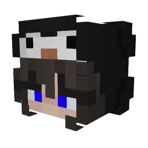 pie_sylvie24 Minecraft avatar head, 3D render