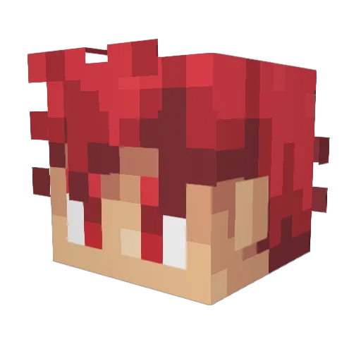 pieceofpaypur Minecraft avatar head, 3D render