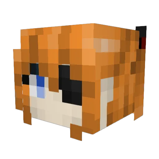 piedude223 Minecraft avatar head, 3D render