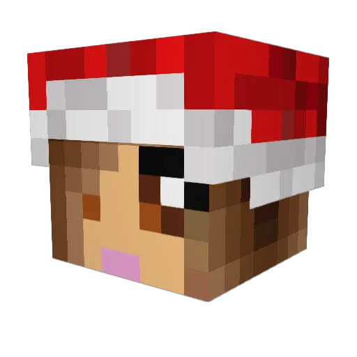 pieguy5 Minecraft avatar head, 3D render