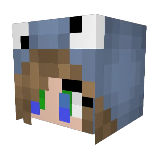 pielover2003 Minecraft avatar head, 3D render