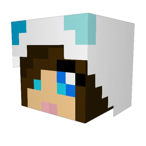 piemaster666666 Minecraft avatar head, 3D render
