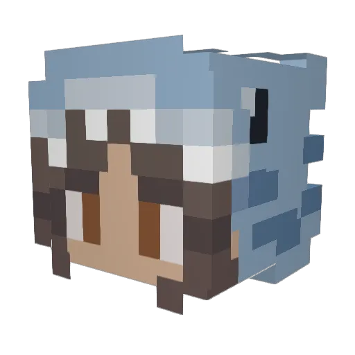 pien050 Minecraft avatar head, 3D render