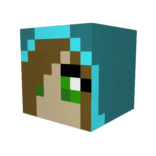 pienaa Minecraft avatar head, 3D render
