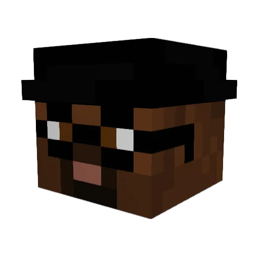 piepguy1234 Minecraft avatar head, 3D render