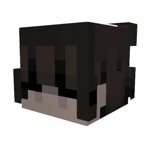 piercer_pvp Minecraft avatar head, 3D render