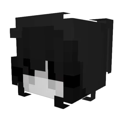 pieronubalgundia Minecraft avatar head, 3D render