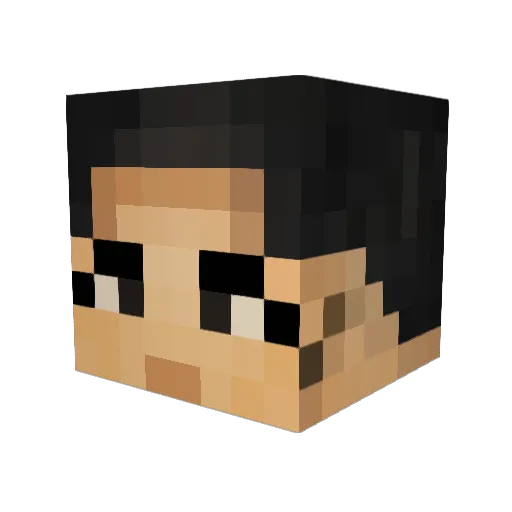 pierre35xx Minecraft avatar head, 3D render