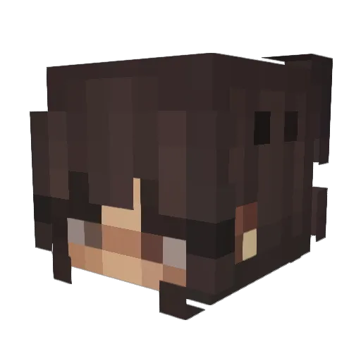 piesangskelet Minecraft avatar head, 3D render