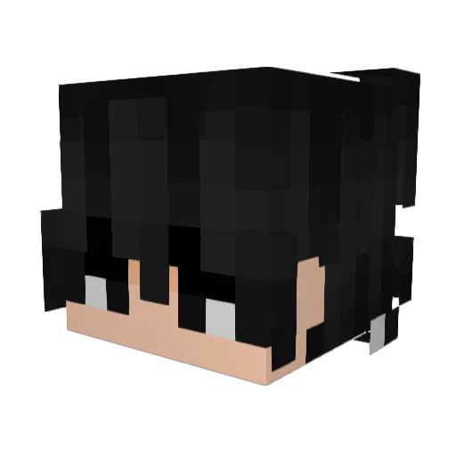 pieter_01 Minecraft avatar head, 3D render
