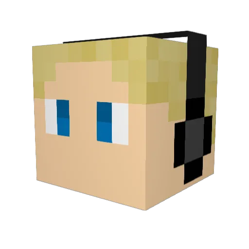 pieterscs Minecraft avatar head, 3D render