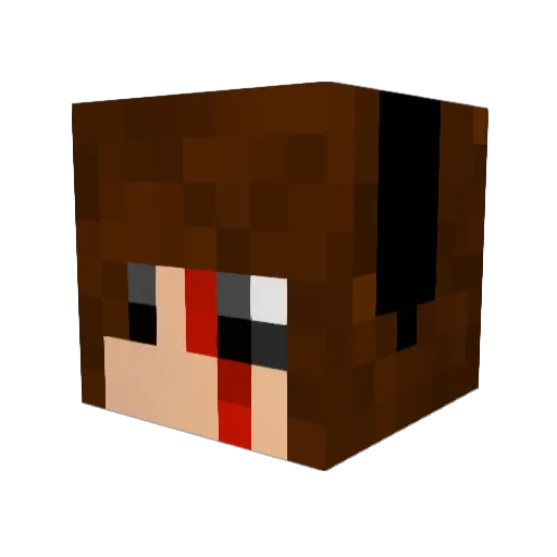 pietnfs Minecraft avatar head, 3D render