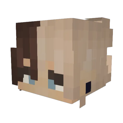 pifflix Minecraft avatar head, 3D render