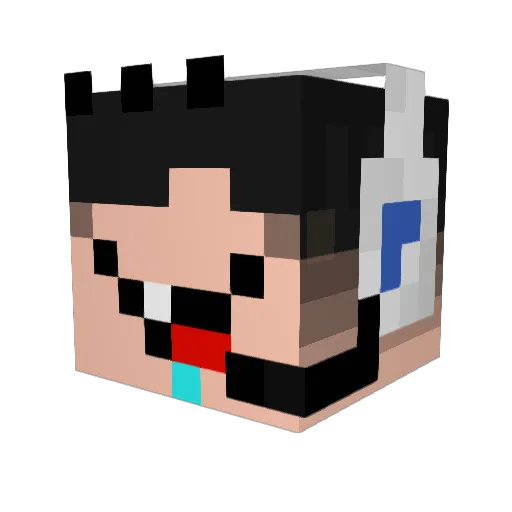 pig021214 Minecraft avatar head, 3D render