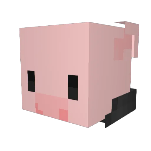 pig_gentleman Minecraft avatar head, 3D render