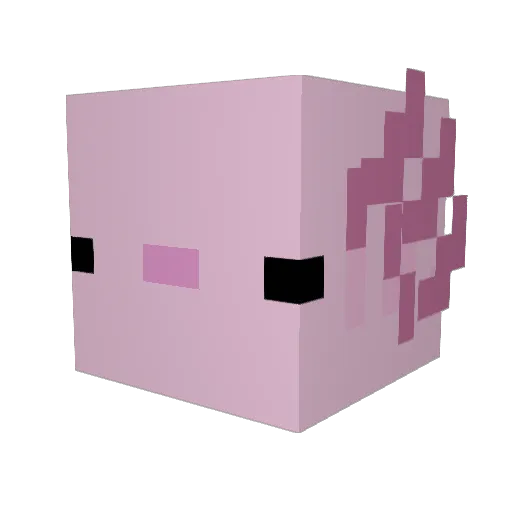 pigallen Minecraft avatar head, 3D render