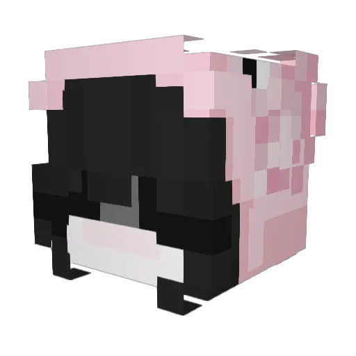 pigbuns Minecraft avatar head, 3D render