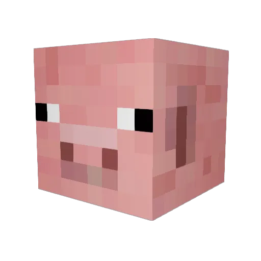 pigdude1263 Minecraft avatar head, 3D render