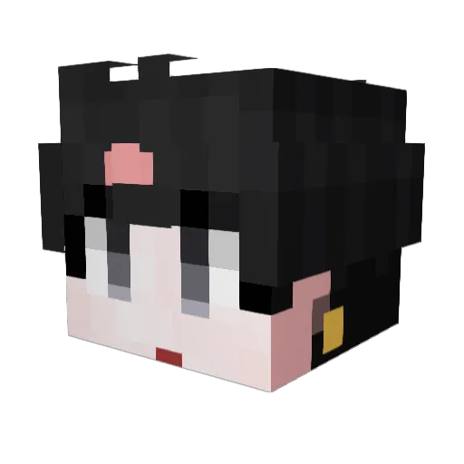 pigeon0316 Minecraft avatar head, 3D render