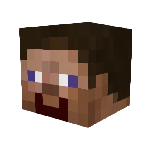 pigeon1314 Minecraft avatar head, 3D render