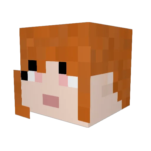 pigeon1704 Minecraft avatar head, 3D render