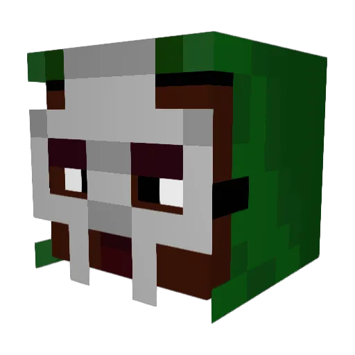 pigeon2698 Minecraft avatar head, 3D render