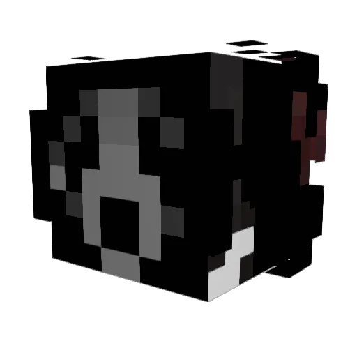 pigeon5121 Minecraft avatar head, 3D render