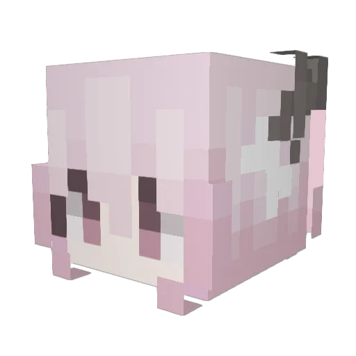 pigeon6554 Minecraft avatar head, 3D render