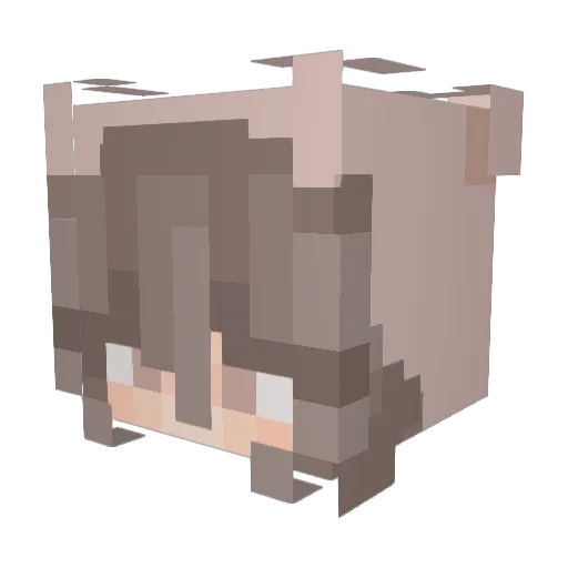 pigeon8353 Minecraft avatar head, 3D render