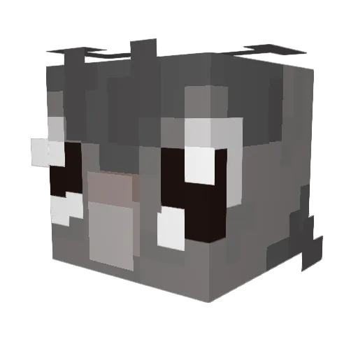 pigeonMCgraw Minecraft avatar head, 3D render