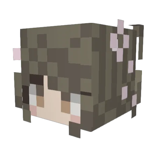 pigeon_46 Minecraft avatar head, 3D render